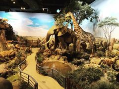 -陕西自然博物馆