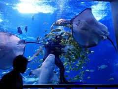 -太平洋海底世界