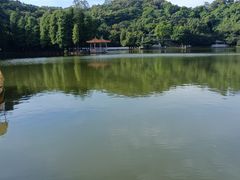 -西樵山风景名胜区-天湖公园
