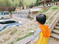 -宁波浙东大竹海景区