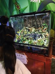 -酷嗒动物文化乐园(cutezoo西溪乐天城店)