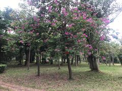 -白沙门生态公园