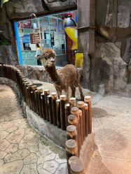 -宝燕乐园(闵行旗舰店)