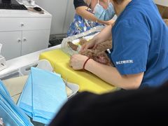 -康成宠物医院24H·CT·核磁共振