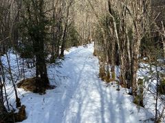 -白马王朗自然风景区