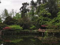 -南山植物园