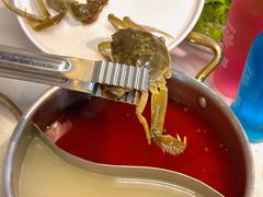 -苏格里岛自助烤肉海鲜火锅(成都金牛万达店)