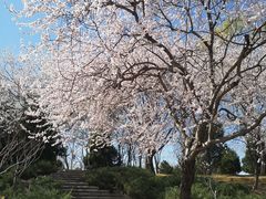 -北坞公园
