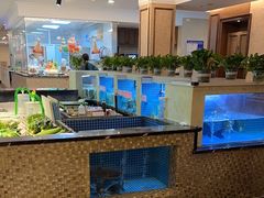 -诚园新喜洋餐厅