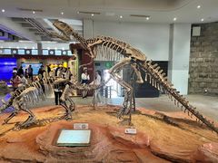 -自贡恐龙博物馆