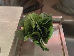 -宴全牛粤来越牛潮汕鲜牛肉火锅(海州万达广场店)
