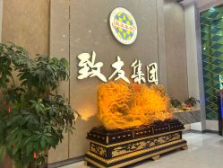 -致友月子会所(麓湖店)