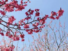 -福清灵石山国家森林公园