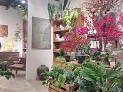 -自由生长植物工作室(深港花卉中心店)