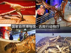 -国家自然博物馆