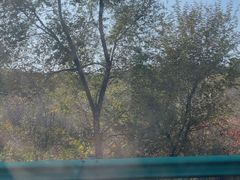 -哈尔滨北方森林动物园
