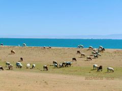-青海湖国家重点风景名胜区