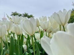 -厦门园林博览苑