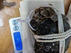 -阳澄湖大闸蟹·琼灵阁牌品牌连锁(吴中总店)