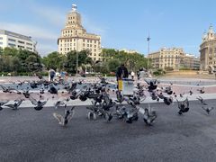 -加泰罗尼亚广场