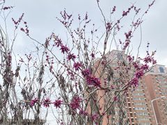 -万寿八仙宫