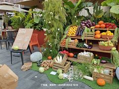 -蘑界·野生菌火锅(深业上城店)