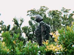 -三鹰之森吉卜力美术馆