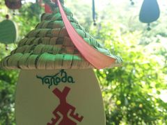 -呀诺达热带雨林