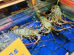 -79号渔船海鲜饭店(华强北店)