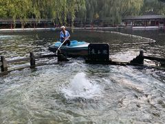 -百脉泉景区