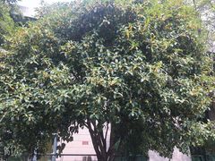 -绍兴鉴湖君澜大酒店