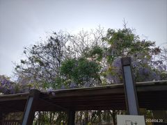 -南翠屏公园