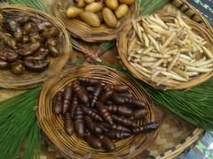 -昆虫窝子·特色云南菜(拓东路总店)