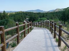 -白水寺森林公园