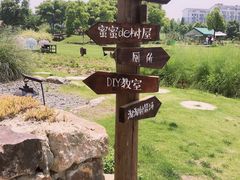 -田园东方蜜桃村的田野营地