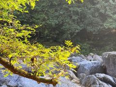 -石台牯牛降景区
