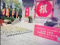 -大槐树寻根祭祖园