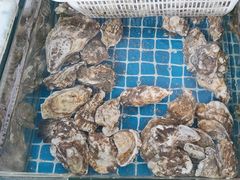 -阿军排档·烧烤