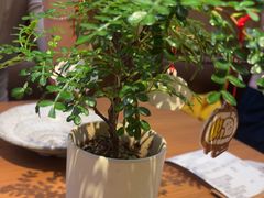 -CURRY YA 熟成咖哩專門店(深圳湾万象城店)