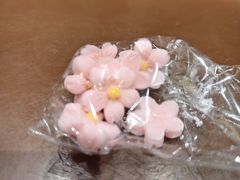 -辛一·铜锣烧(鸿寿坊店)