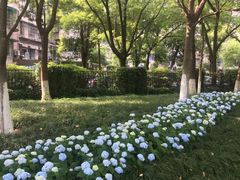 -大关公园