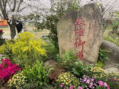 -苏州上方山国家森林公园