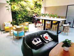 -引领英语·成人口语·雅思托福