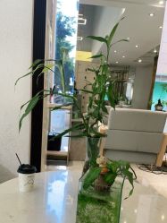 点击看大图 -菲·木田moontin造型salon