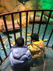 -酷嗒动物文化乐园(cutezoo西溪乐天城店)