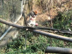 -宁波野生动物园