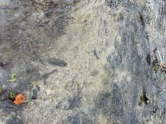 -白水寺森林公园