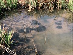 -前小桔亲子创意农场·草莓采摘·露营烧烤