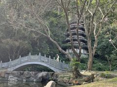 -深圳国际园林花卉博览园