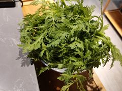 茼蒿-大自然醉鹅·铁锅火焰鹅(上海联洋店)